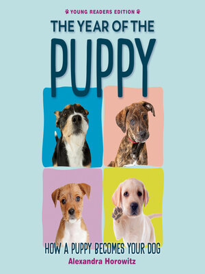 cover image of The Year of the Puppy
